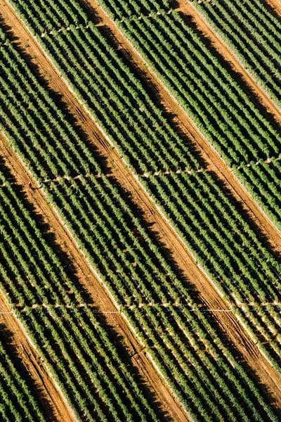 Ngày Mai Trời Lại Sáng