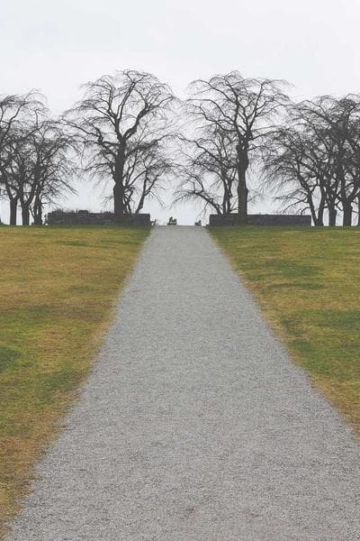 Phu Nhân Của Hầu Gia