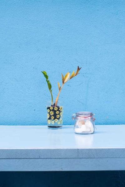 Xuyên Thành Tiểu Thư Ác